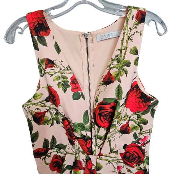 Nwot Ginger Fizz Sleeveless Plunging V Peach/Red Roses Asymmetrical Midi… - Picture 7 of 17